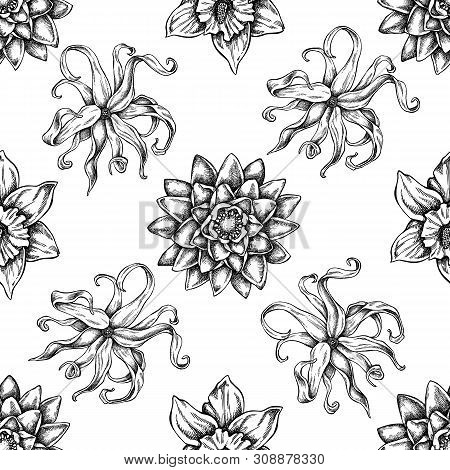 Seamless Pattern With Black And White Ylang-ylang, Daffodil, Lotus Stock Illustration