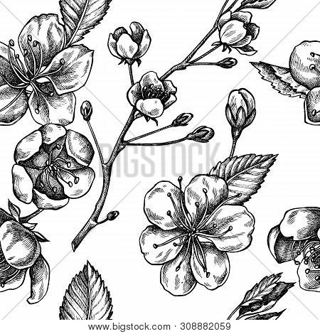 Seamless Pattern With Black And White Sakura Stock Illustration