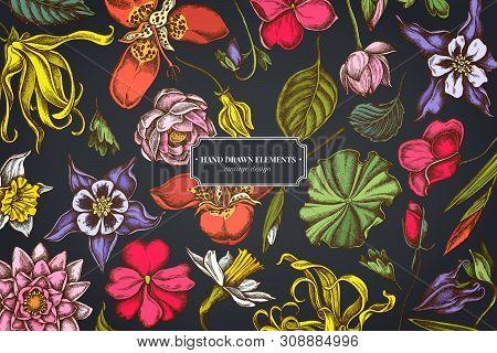 Floral Design On Dark Background With Ylang-ylang, Impatiens, Daffodil, Tigridia, Lotus, Aquilegia S