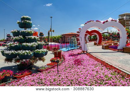 Konya / Turkey, June 7, 2019, Konya Selcuklu Flower Park (cicek Park)