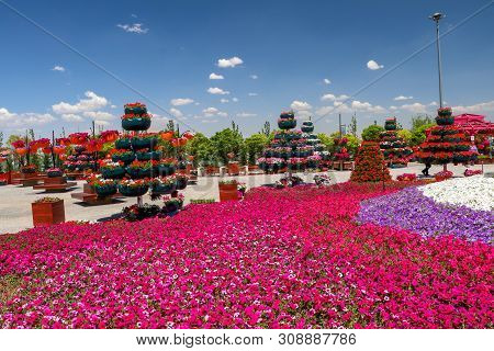 Konya / Turkey, June 7, 2019, Konya Selcuklu Flower Park (cicek Park)