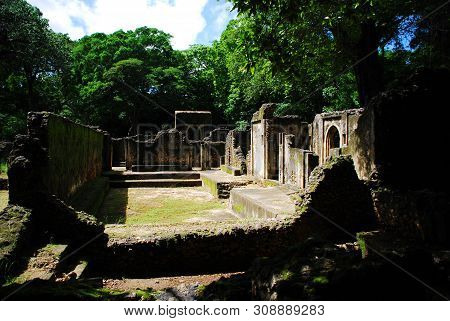 View Of The Gedi Ruins, Close To Mombasa, Kenya
