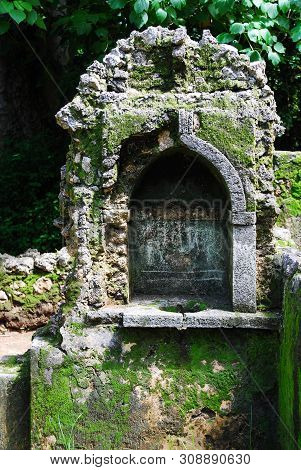 View Of The Gedi Ruins, Close To Mombasa, Kenya