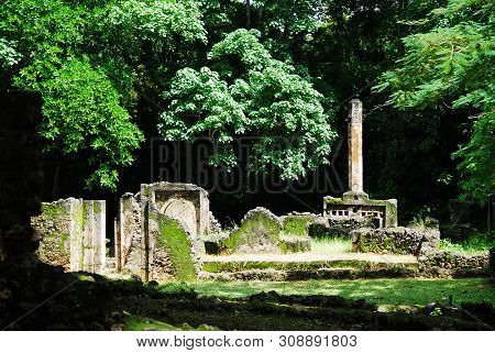 View Of The Gedi Ruins, Close To Mombasa, Kenya