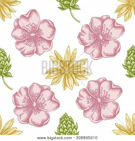 Seamless Pattern With Hand Drawn Pastel Dog Rose, Hop, Jerusalem Artichoke Stock Illustration