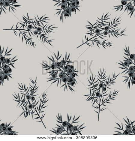 Seamless Pattern With Hand Drawn Stylized Juniper Stock Illustration