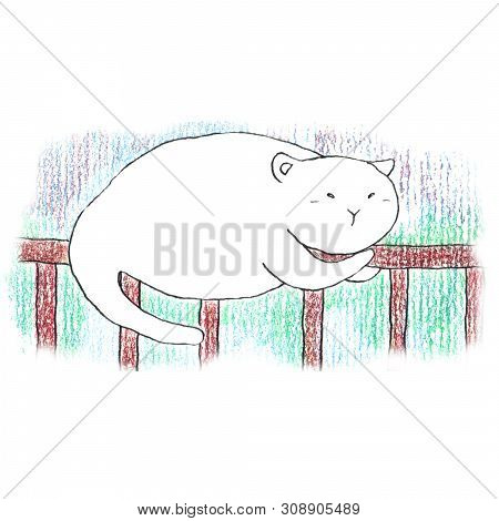 Fat Funny White Cat Sleeping On The Brown Fence. Hand Drawn Illustration By Color Pencils And Ink