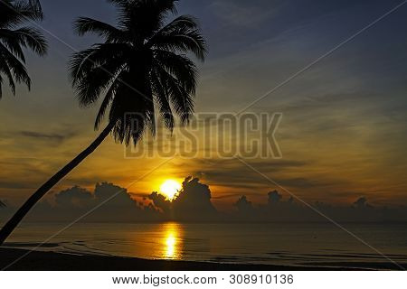 Sunrise And Coconut Beautiful On Beach At Thung Wua Lan Beach, Chumphon Province Thailand