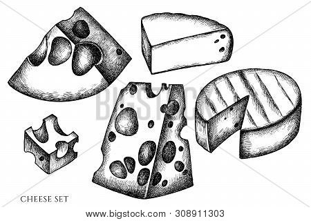 Vector Set Of Hand Drawn Black And White Cheese Stock Illustration
