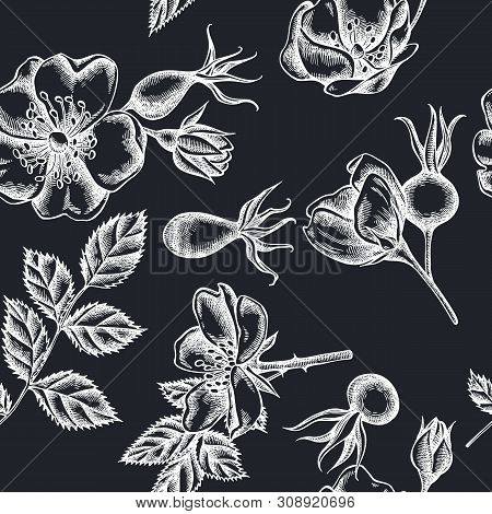 Seamless Pattern With Hand Drawn Chalk Dog Rose Stock Illustration