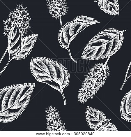 Seamless Pattern With Hand Drawn Chalk Peppermint Stock Illustration
