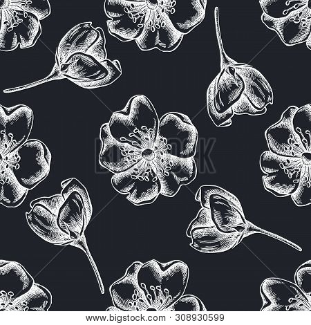Seamless Pattern With Hand Drawn Chalk Dog Rose Stock Illustration