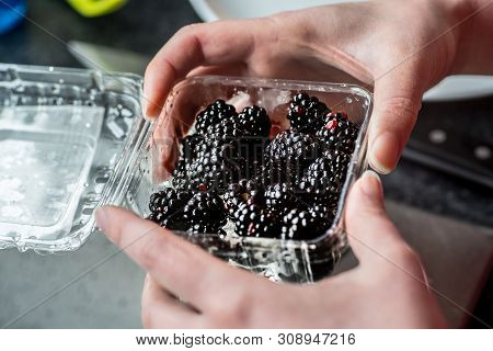 Small Plastic Container With Blackberies In Woman’s Hands