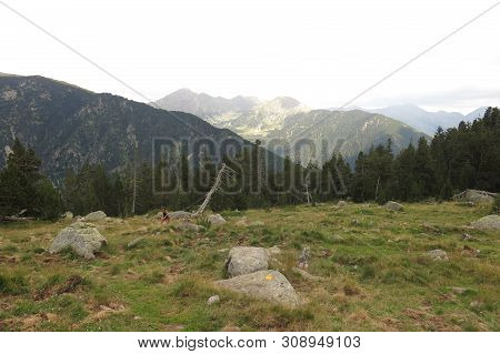 View Of Llubriqueto Valley In National Park Aiguestortes, Catalonia, Spain