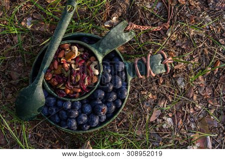 Set Of Eco Dishes. Berries And Dried Fruits In Eco Ware. Snack At Sunset. Top.