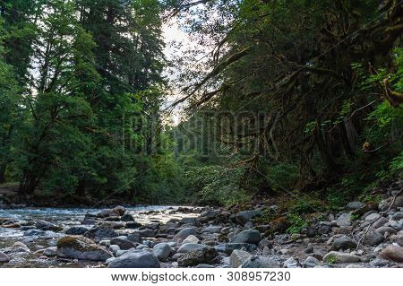 Impression Of The Cowlitz River In Washington State, Near The La Wiz Wiz Campground.