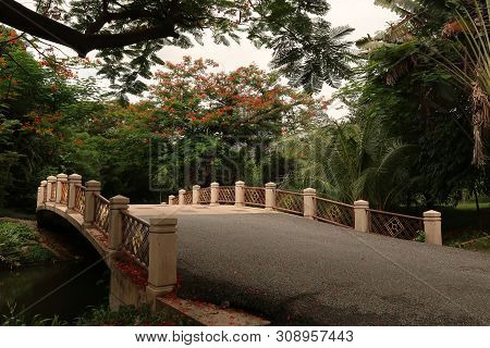 Old Bridge In Vachirabenjatas Park, Bangkok, Thailand
