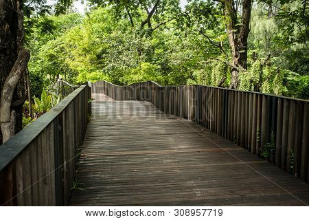 Wooden Bridge In Vachirabenjatas Park, Bangkok, Thailand
