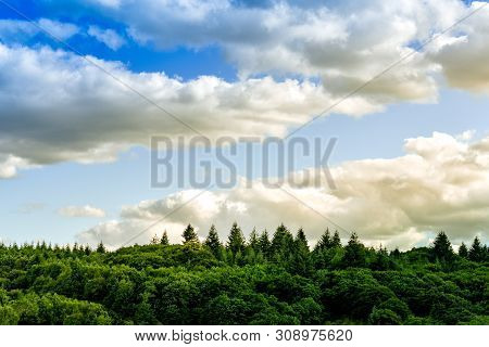 Colourful And Minimal Landscape Barckground. Sunsuet Clouds And Pines