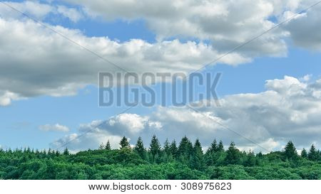 Minimal Landscape Barckground. Clouds, Blue Sky And Pines