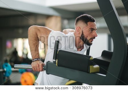 A Young Athlete Trains In The Gym. Trians Triceps On Parallel Bars