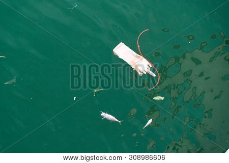 Trash, Plastic, Garbage, Bottle... Environmental Pollution On The Beach. Royalty High-quality Free S