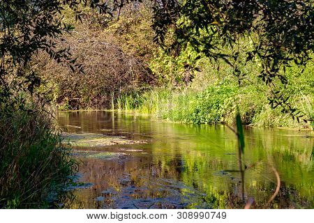 River Isma In The Borovsky District, Kaluzhskiy Region, Russia