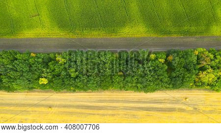 Rolls Of Haystacks On The Field After Harvest And Green Corn Fields. Large Wheaten Field With Cylind