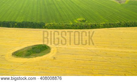 Rolls Of Haystacks On The Field After Harvest And Green Corn Fields. Large Wheaten Field With Cylind