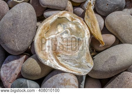 Photo Of Colourful Pebble Background On The Beach