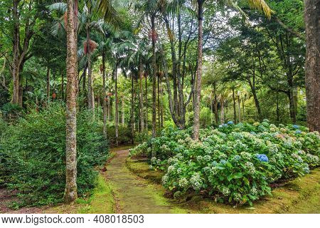 Enchanting Terra Nostra Botanical Garden in Furnas, Sao Miguel Island, Azores, Portugal