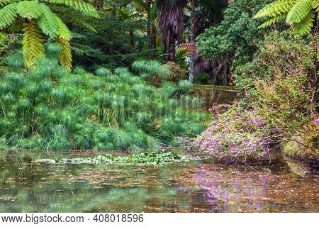 Enchanting Terra Nostra Botanical Garden in Furnas, Sao Miguel Island, Azores, Portugal