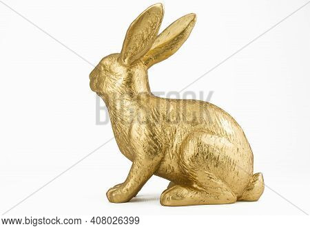 Beautiful Gold Big Rabbit On White Background