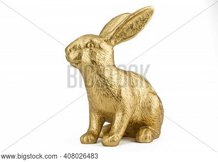 Beautiful Gold Big Rabbit On White Background