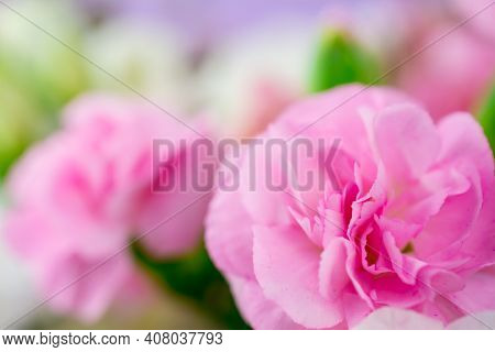 Bouquet Of Beautiful  Flower  On Pink Background