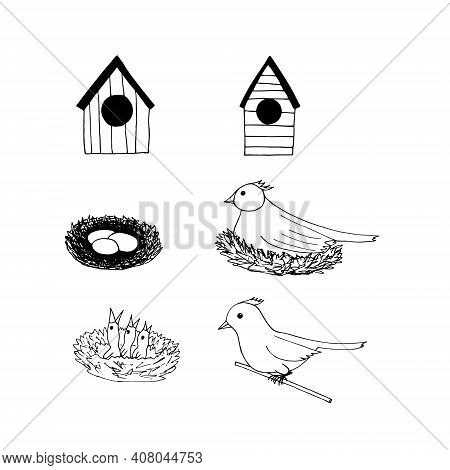 Bird And Chicks In The Nest, Birdhouse Set Icon, Sticker. Sketch Hand Drawn Doodle Style. Minimalism