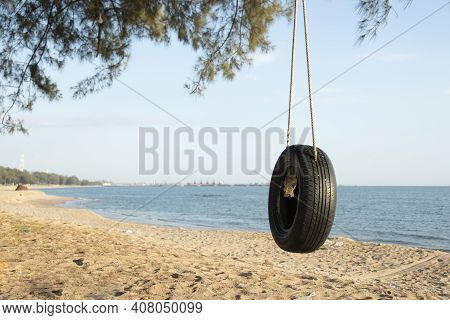 Tire Swings Hang From Trees On The Sandy Beach. With A Background Of Blue Sea And Sky With Coluds