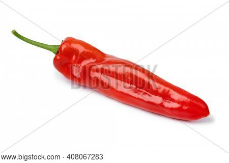  Single fresh red pointed pepper isolated on white background
