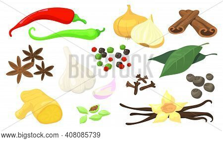 Colorful Spicy Spices And Vegetables Flat Item Set. Cartoon Fresh Garlic, White Onion, Hot Chili, Al