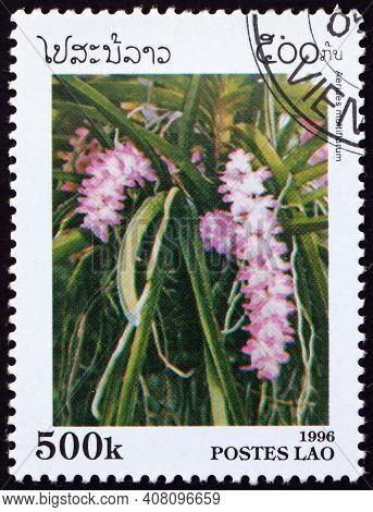 Laos - Circa 1996: A Stamp Printed In Laos Shows Multi-flowered Aerides, Aerides Multiflorum, Is A S