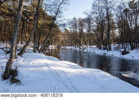 The Piasnca River During Winter In Northern Poland. Debki, Poland