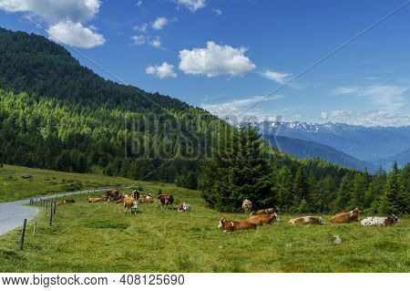 Mountain Landscape At Summer Along The Road To Mortirolo Pass, In Brescia Province, Lombardy, Italy.