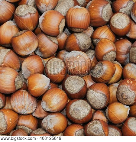 Stack Of Shelled Hazelnuts Background. Hazelnut Textured Pattern. Food Background.