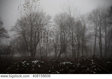 Landscape With Beautiful Fog In Forest On Hill Or Trail Through A Mysterious Winter Forest With Autu