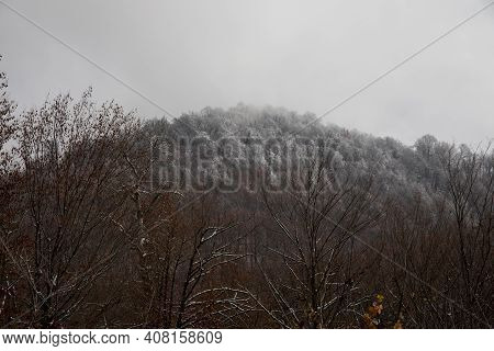Landscape With Beautiful Fog In Forest On Hill Or Trail Through A Mysterious Winter Forest With Autu