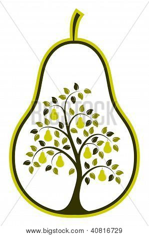 Pear körte fa