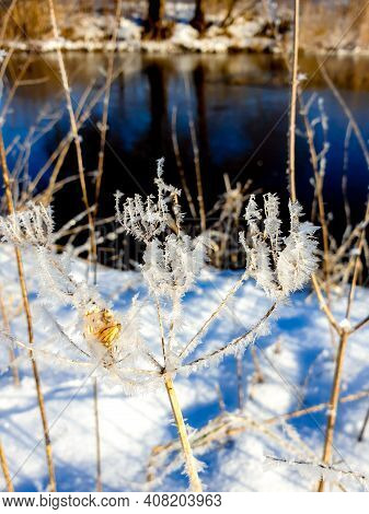 Sallandse Heuvelrug Natural Park Snow Covered During Winter Weather In The Netherlands By Holterberg