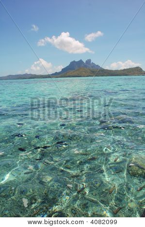 BoraBora Laguna