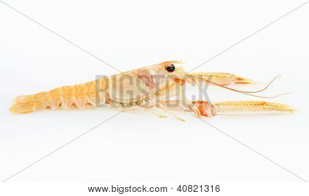 Langustiny nebo krevetky připravené mořské plody. Syrové potraviny.