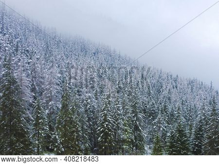 Beautiful Winter Landscape With Snowy Trees Near Green Lake (gruner See) Famous Tourist Destination
